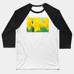 Narcissus  &#39;Standard Value&#39;   Division 1  Trumpet Daffodil Baseball T-Shirt